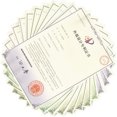 陜西德力能源科技有限責任公司范德力鍋爐